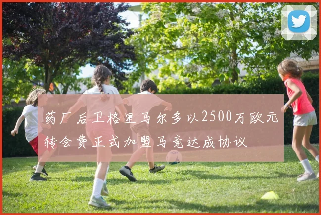 药厂后卫格里马尔多以2500万欧元转会费正式加盟马竞达成协议